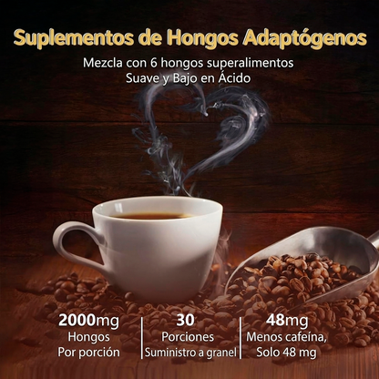 Enfoque Total: Café de hongos Nootrópico con Melena de León, Reishi y Cordyceps.