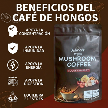 Enfoque Total: Café de hongos Nootrópico con Melena de León, Reishi y Cordyceps.